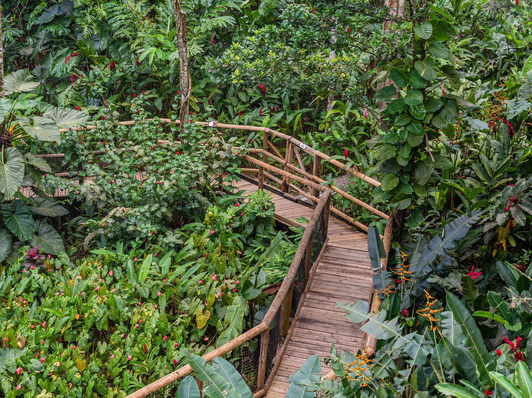 Zoo De Guadeloupe Au Parc Des Mamelles-Bouillante必去景点