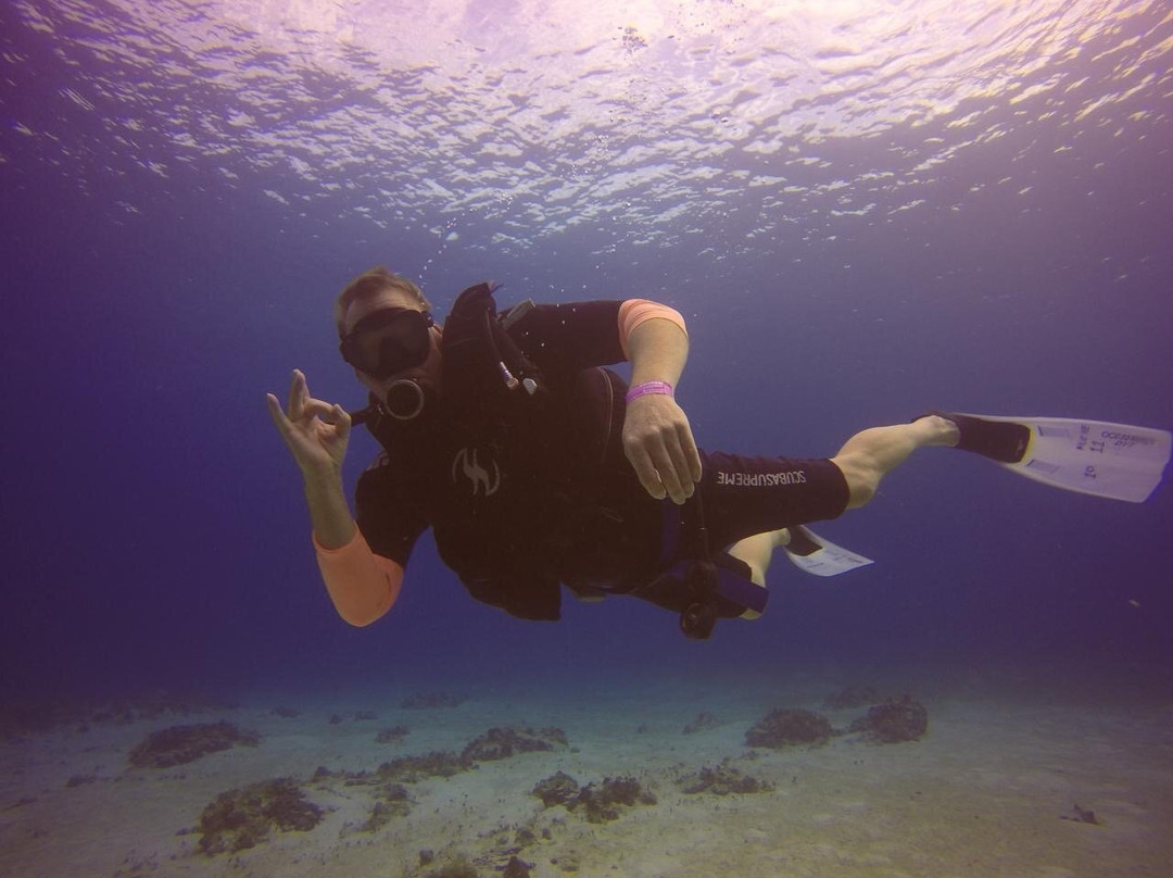 Dive  Palancar-考祖梅必去景点