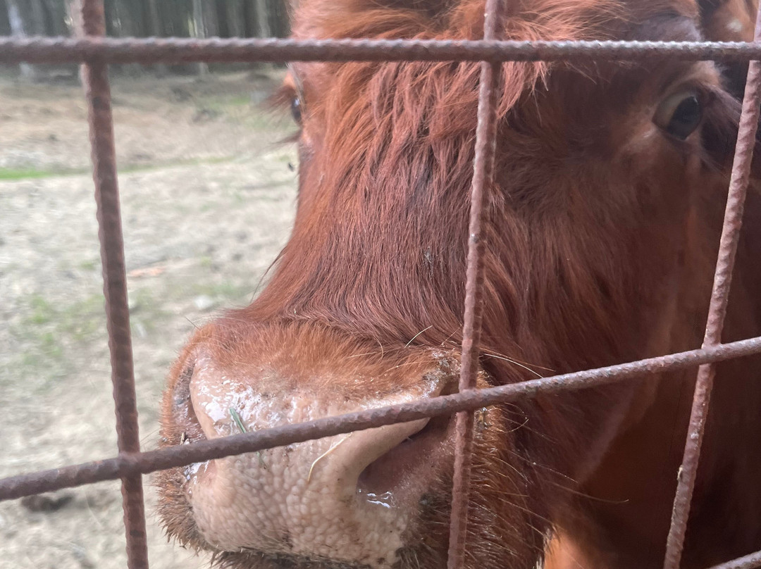 Oasi Delle Piane-Lama Mocogno必去景点