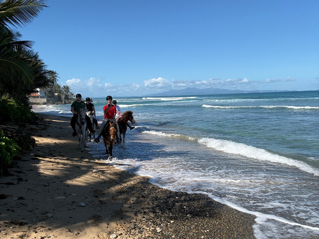 Colon Horseback Riding-维切克岛必去景点
