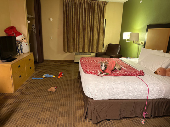 Extended Stay America - Chicago - Elmhurst - O'Hare主图