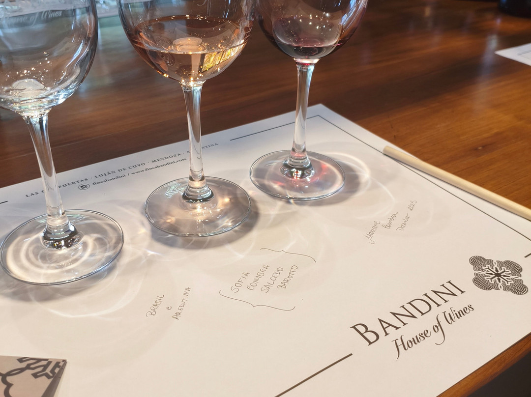 Finca Bandini-路冉得库约必去景点