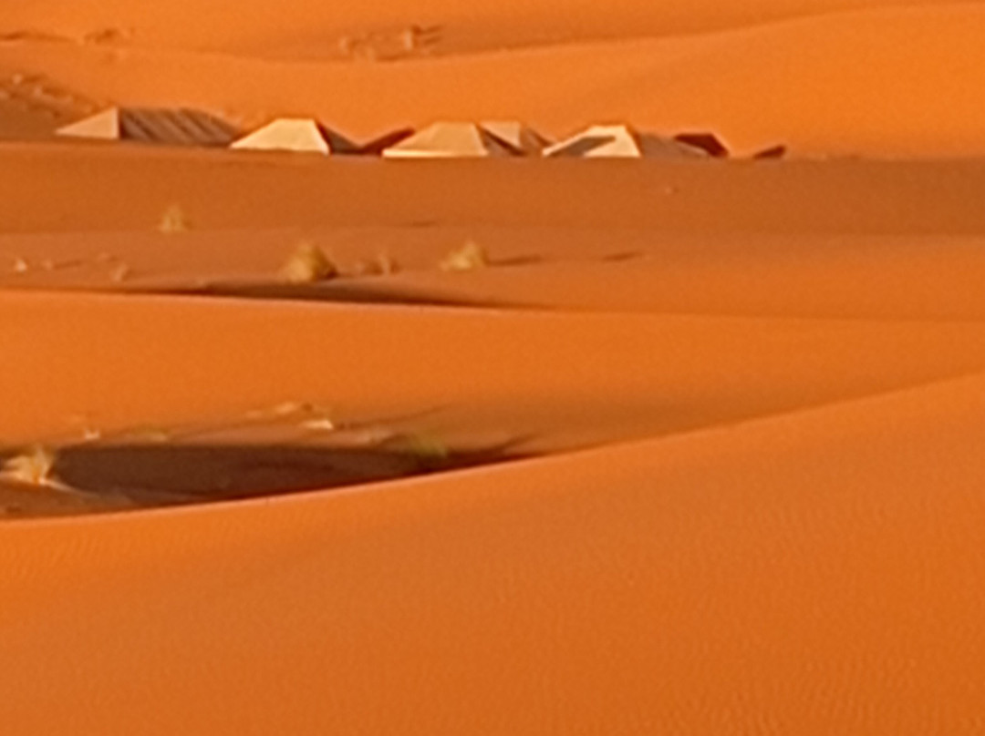 Dream Morocco Tours-非斯必去景点