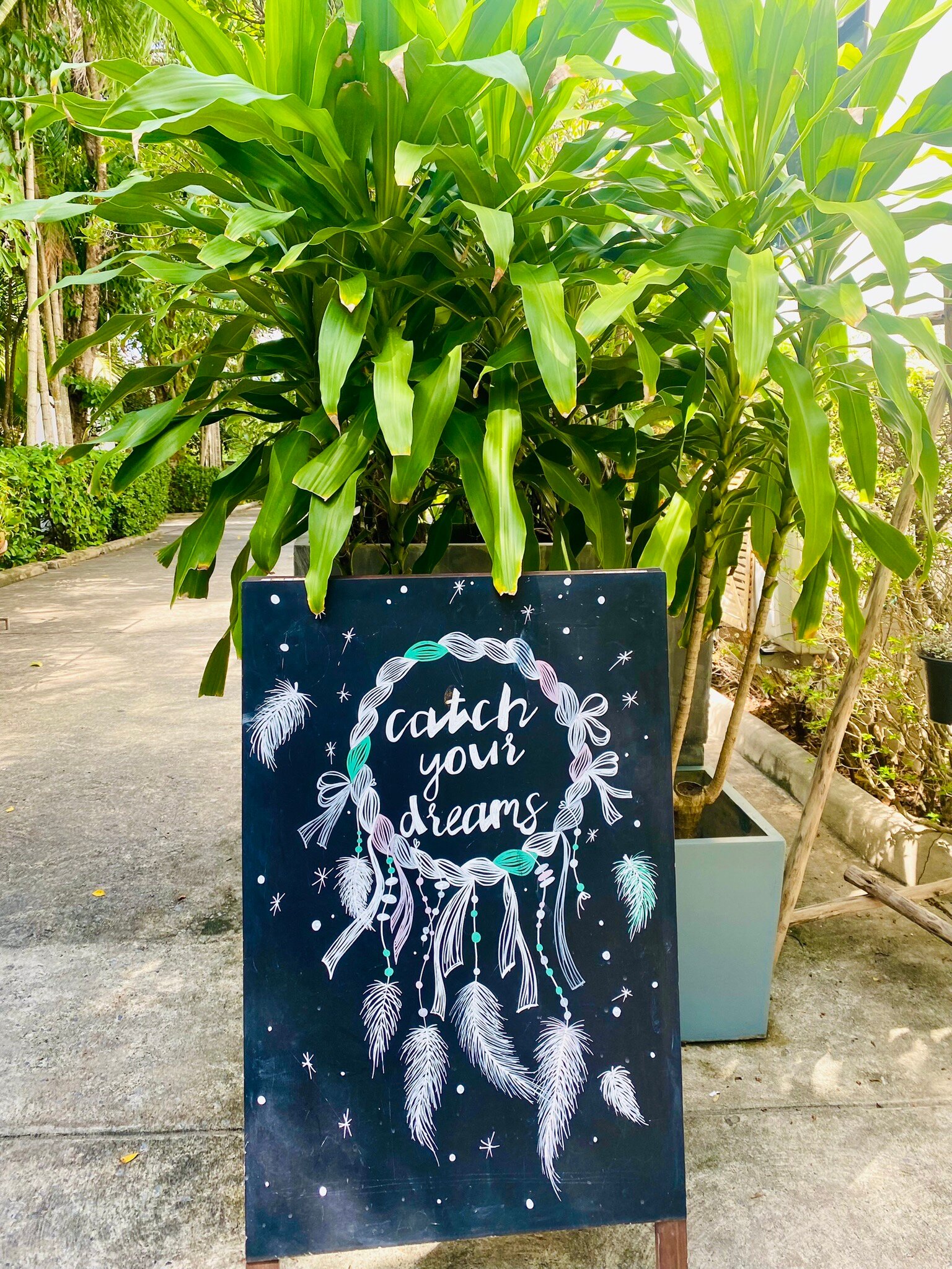 Phuket Cleanse-官方