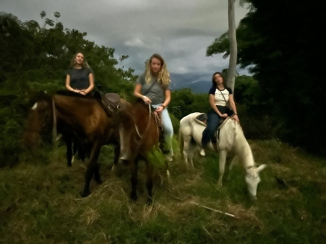 Criadero Rancho Aurora-卡利必去景点