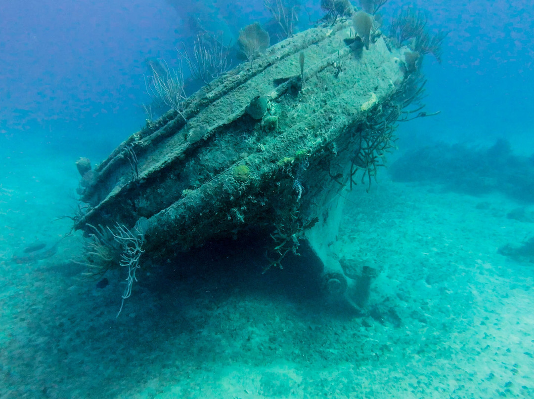 Stuart Cove's-拿骚必去景点