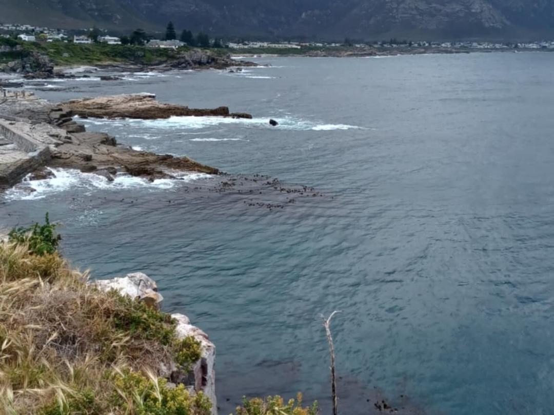 Gearing's Point-赫曼努斯必去景点