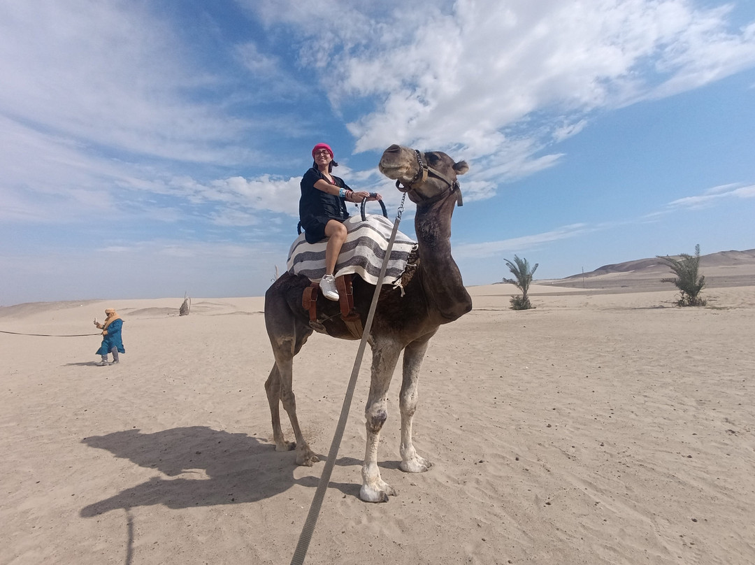 Dromedarius-伊卡必去景点