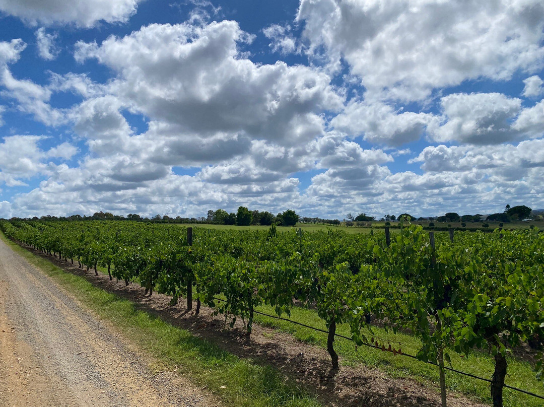 Dusty Hill Vineyard-Moffatdale必去景点