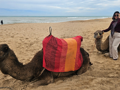 Tangier Patito Tours-丹吉尔必去景点