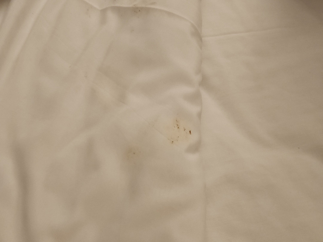 Leonardo Hotel Negev Beer-Sheva主图