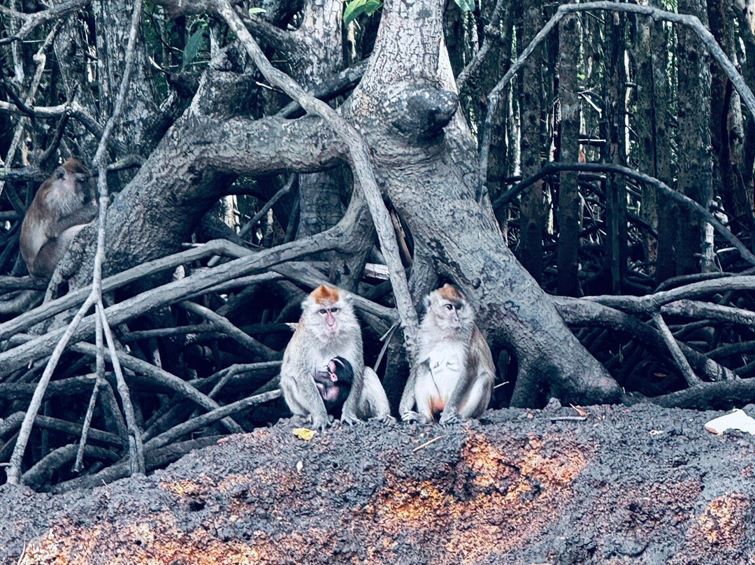 Russian Guide in Langkawi-兰卡威必去景点