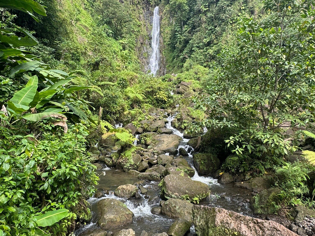 Just Go Dominica-多米尼克必去景点