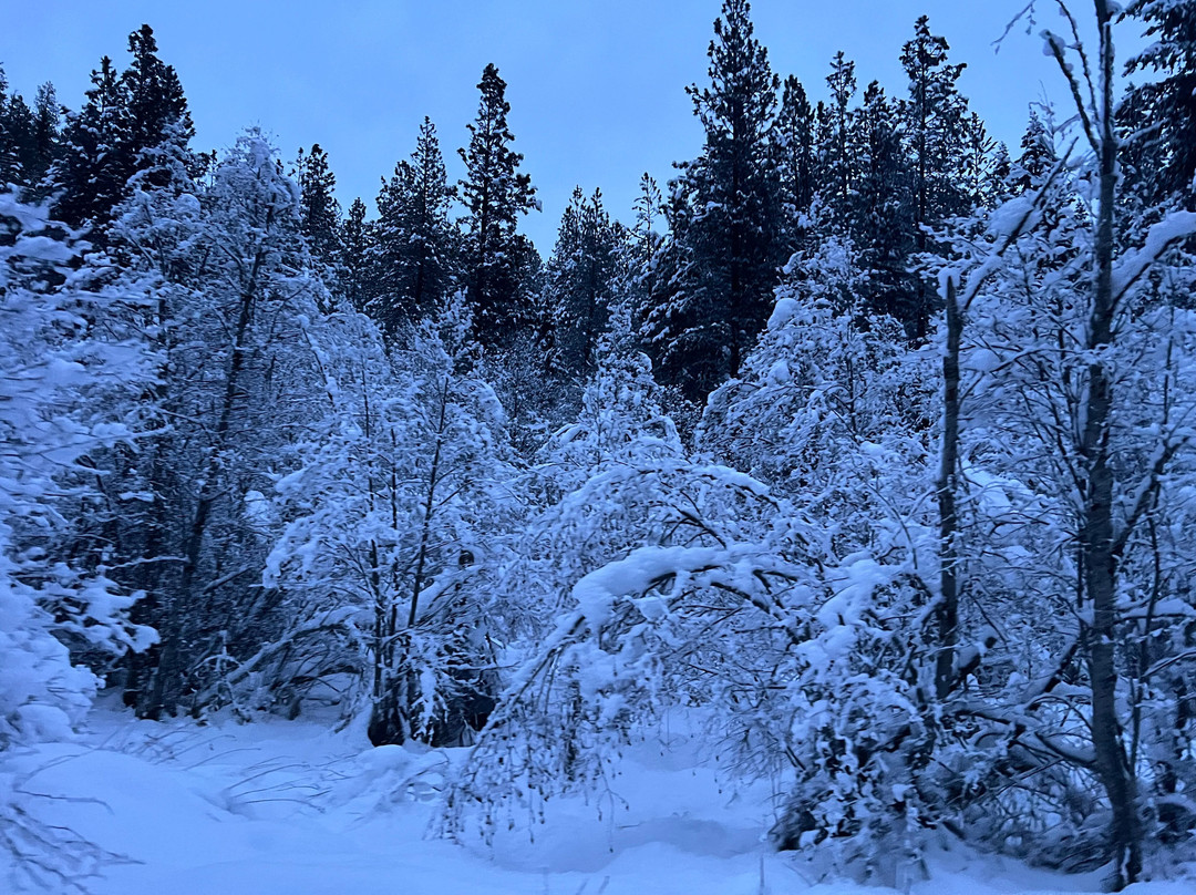 Leavenworth Sleigh Rides-莱文沃思必去景点
