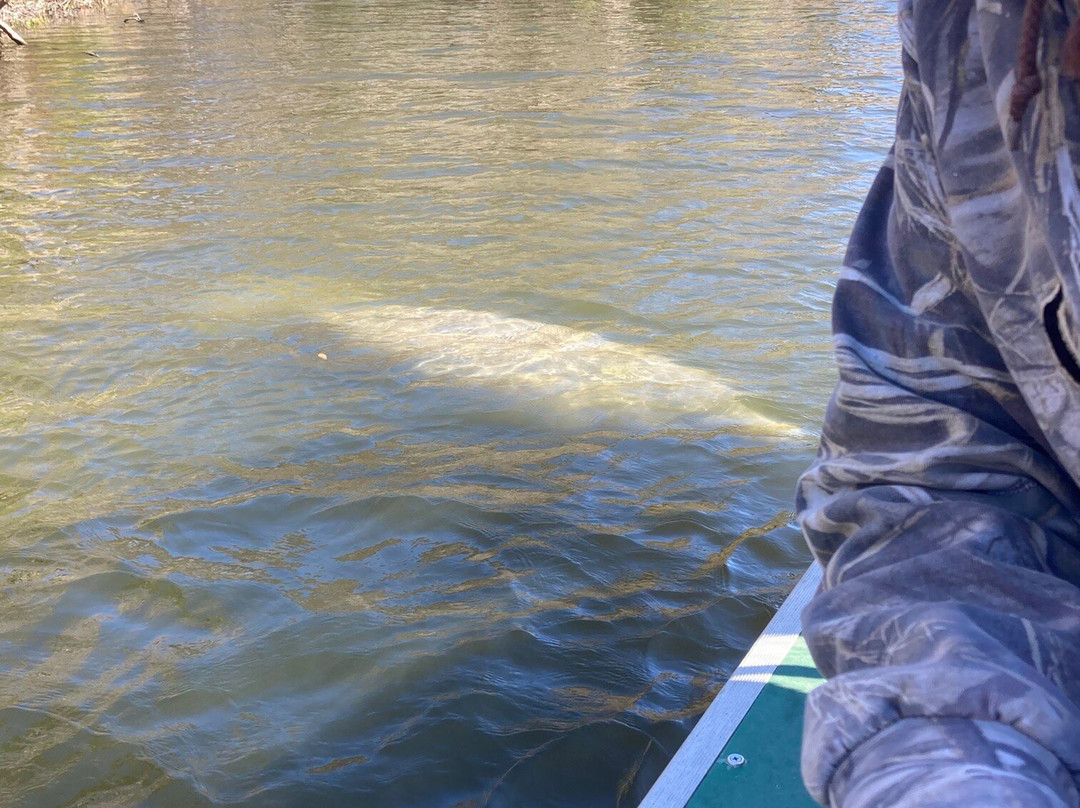 Airboat And Gator Charters-De Leon Springs必去景点