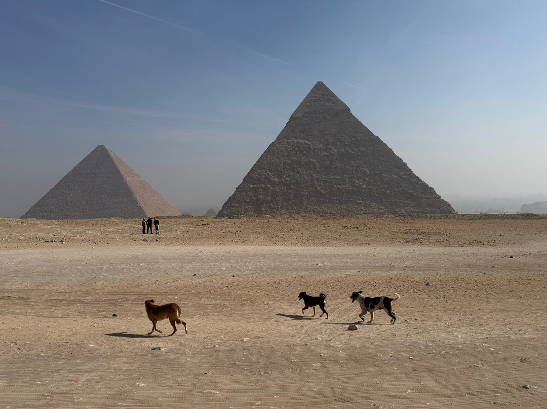 Amazing Cairo local guide - licensed Egyptologist specializing in tours, excursions and sightseeing around Cairo and surrounding areas-开罗必去景点