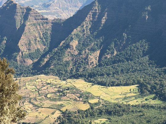 Ras Dejen Ethiopia Trekking-贡德尔必去景点