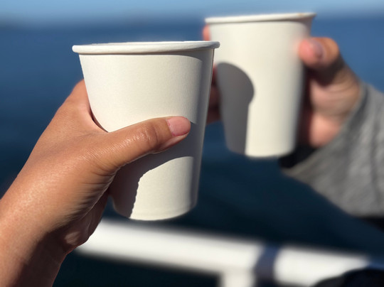 Patagonika Tour Operador-巴拉斯港必去景点