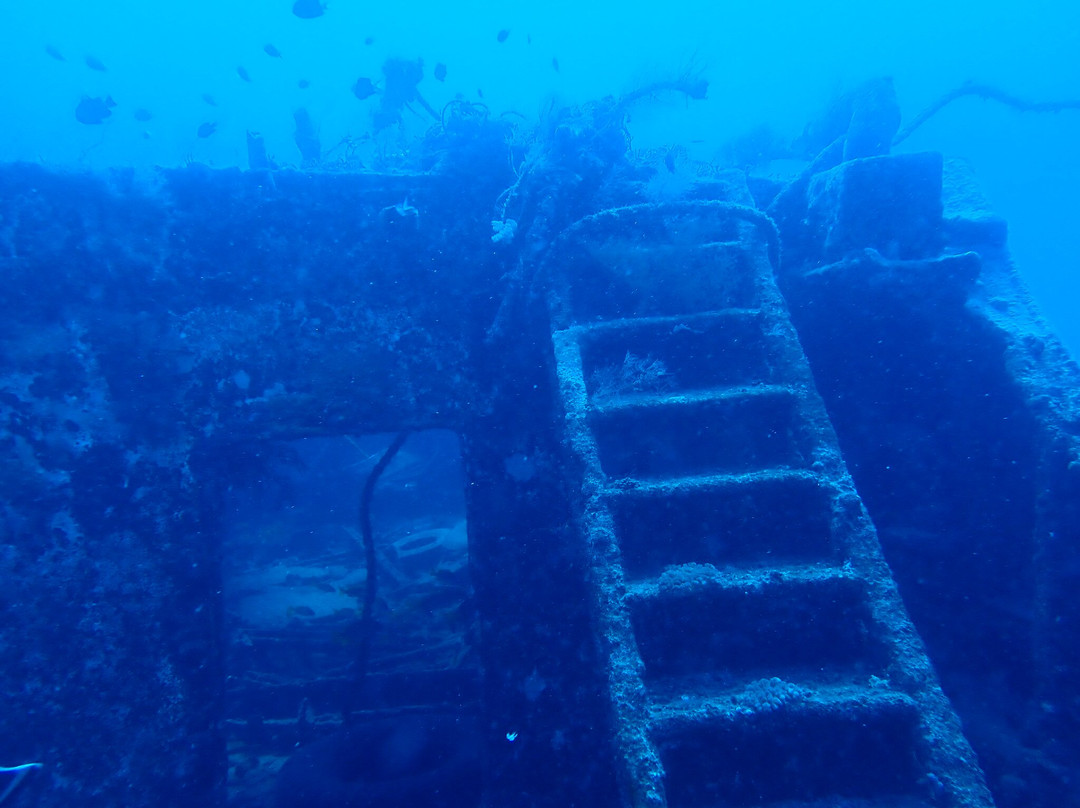 Dodo Divers Mauritius-卡罗迪勒必去景点