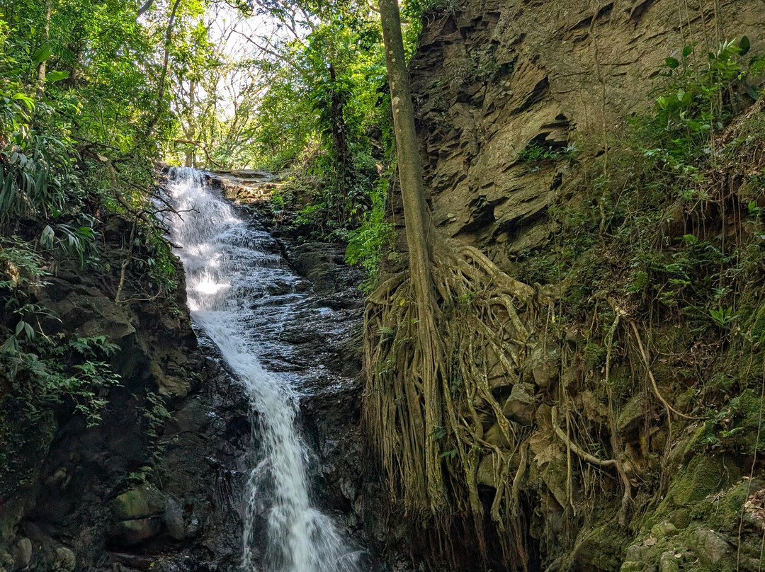 Catarata Del Toro-Bajos del Toro必去景点