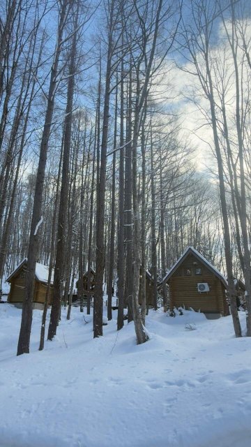 新富良野王子酒店-官方