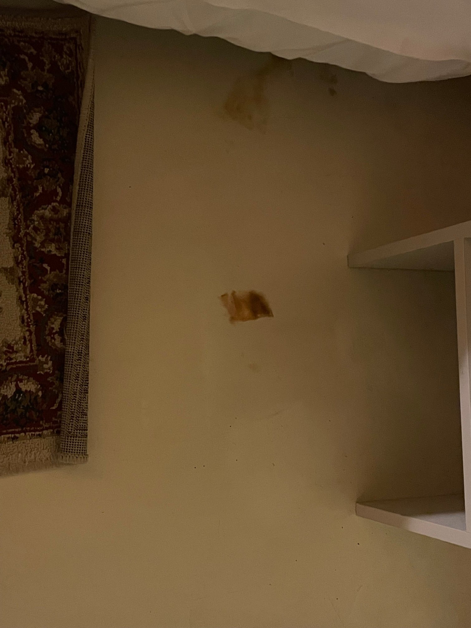 奥托奈斯派索酒店-官方