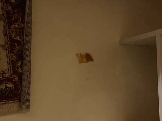 奥托奈斯派索酒店主图