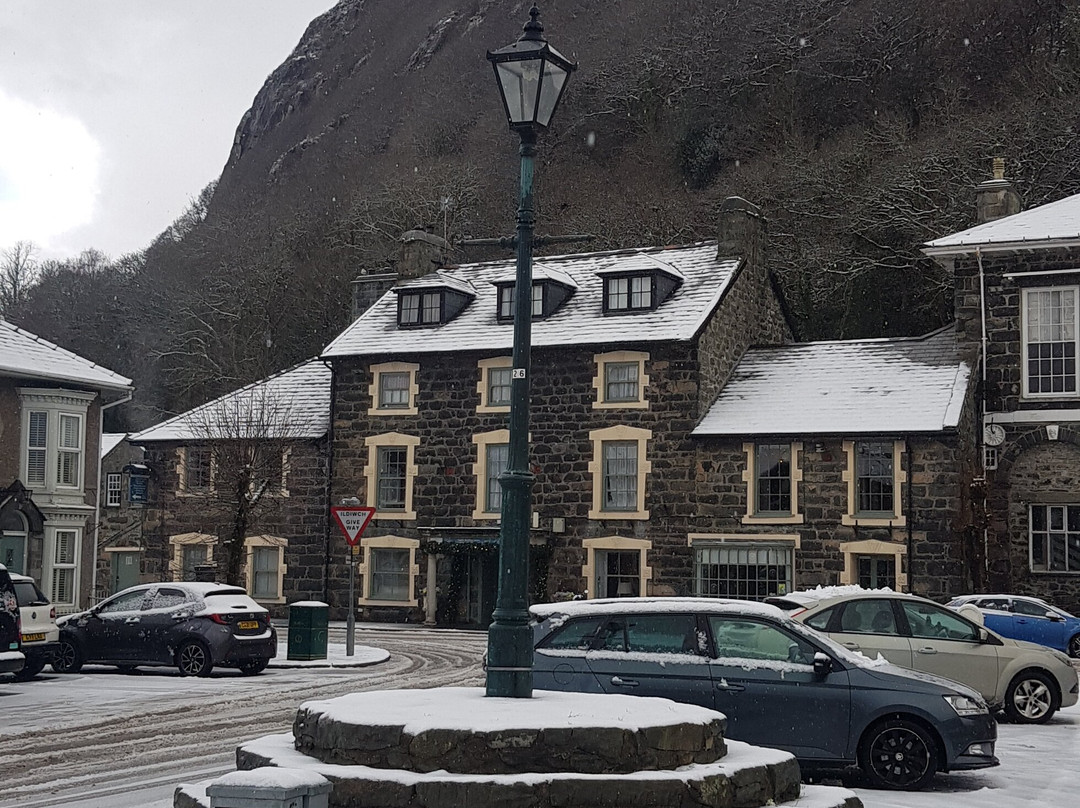 金羊毛旅馆主图