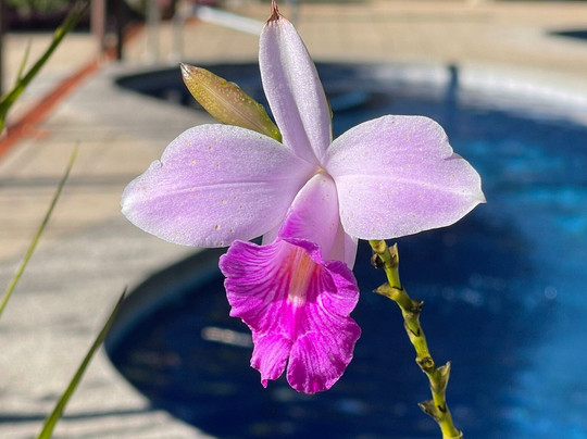 Hotel de Montana El Pelicano主图