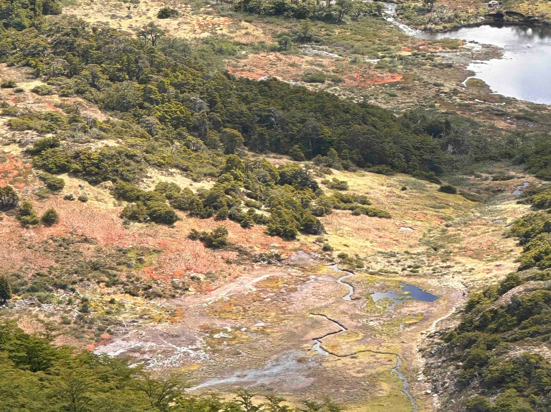 Explora Isla Navarino-Puerto Williams必去景点