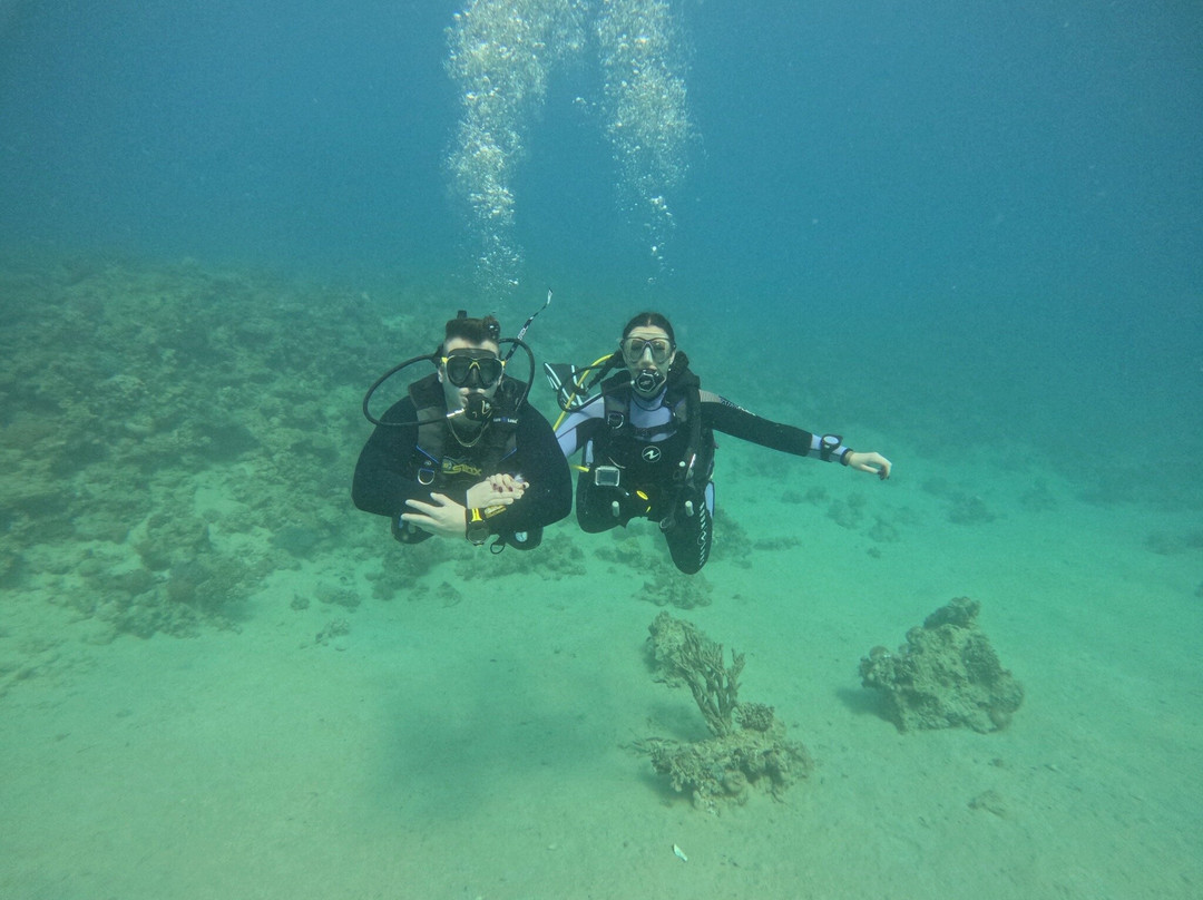 Orca Dive Club Safaga-Safaga必去景点