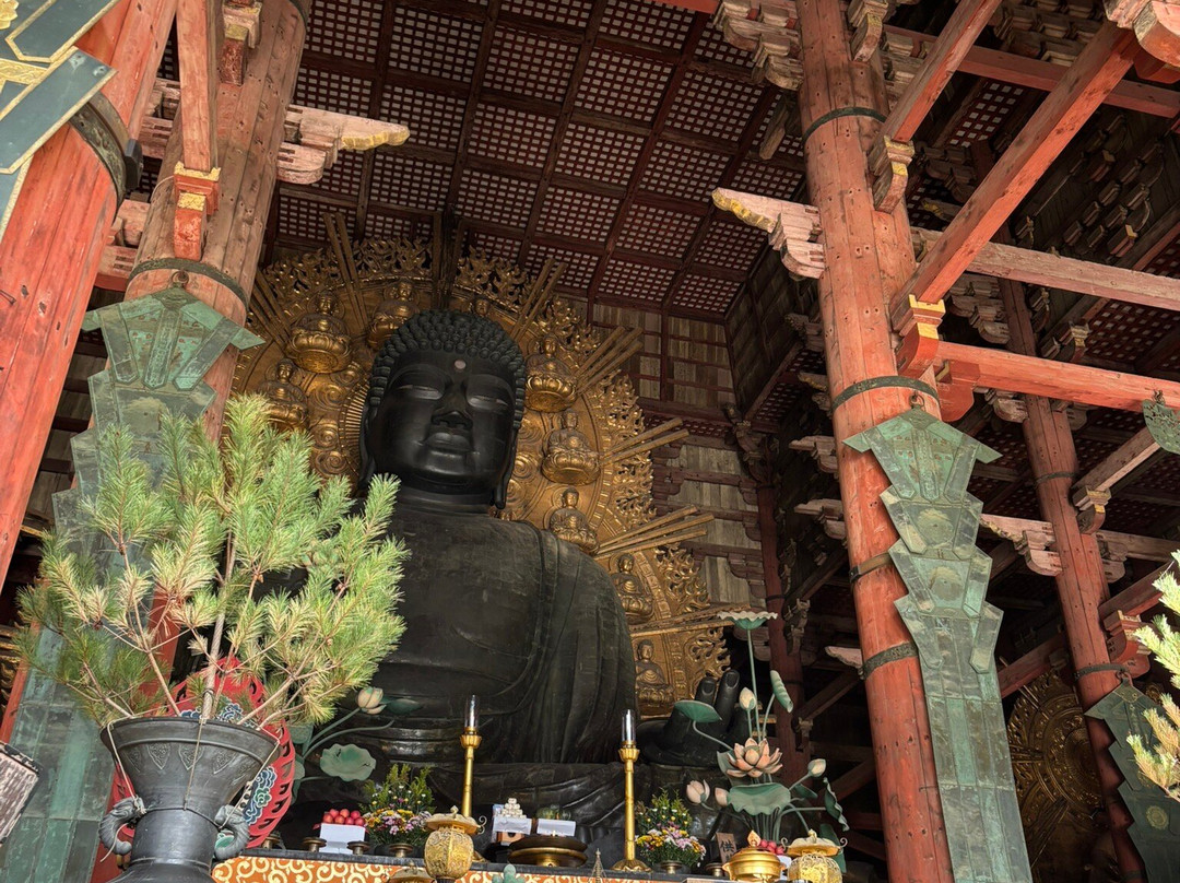 Todaiji Keidaicho-奈良市必去景点