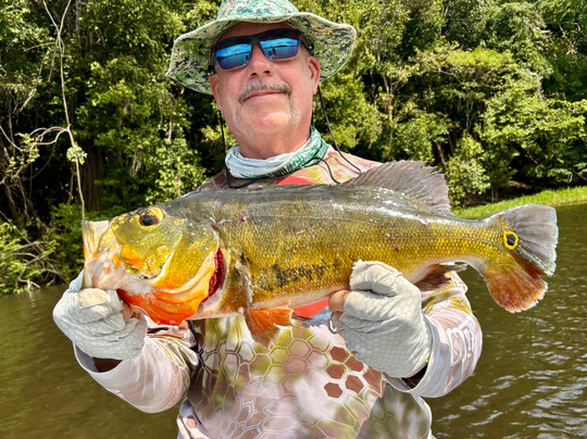 Amazon Prime Ecolodge-玛瑙斯必去景点