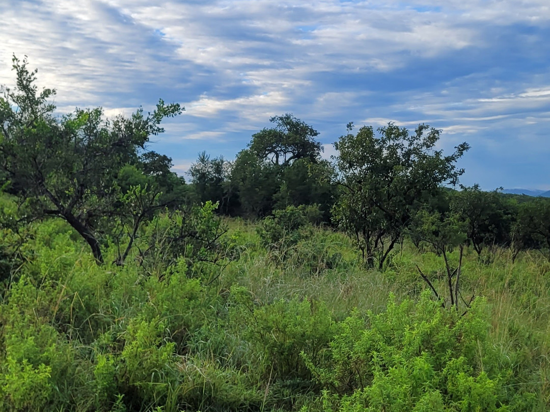 EuroZulu Guided Tours & Safaris-圣露西亚必去景点