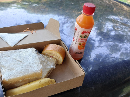 Wilpattu Safari Jeep-Wilpattu National Park必去景点