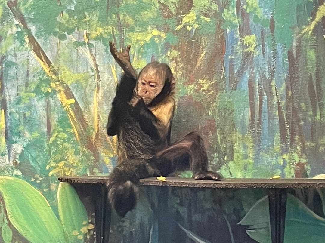 Shepreth Wildlife Park-Shepreth必去景点