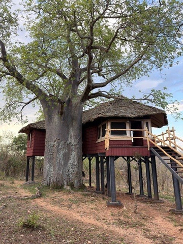 艾勒瓦纳塔兰吉尔树顶酒店主图