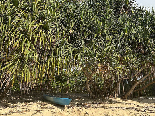 Cardamom House By Secluded Africa主图