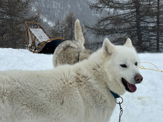 Leila'venture-Molines-en-Queyras必去景点