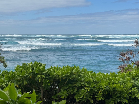 龟湾度假村主图