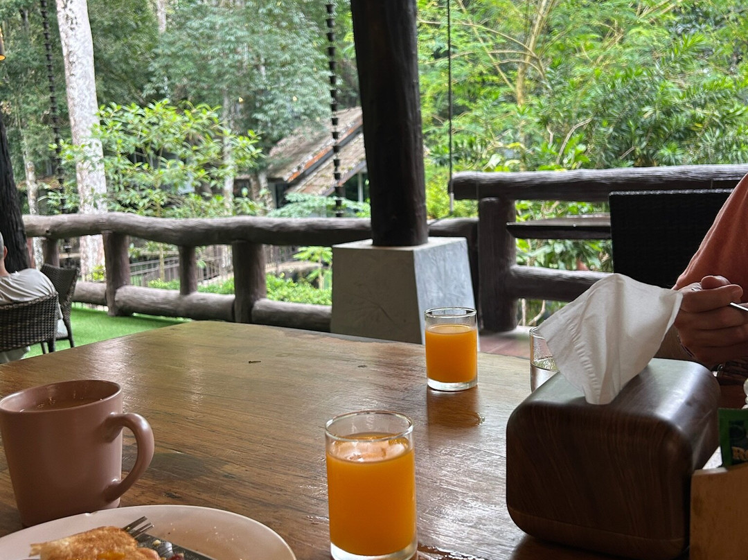 岩石树屋度假酒店主图