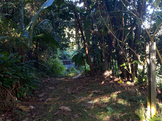 Batey Adventures-Utuado必去景点