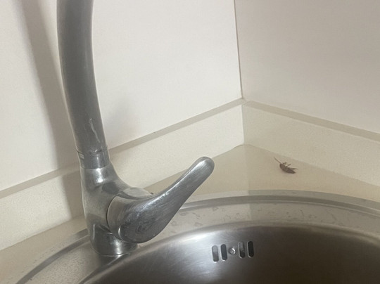 TUI BLUE Flamingo Beach主图