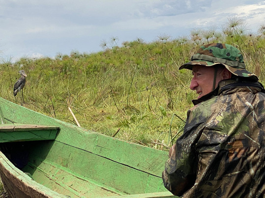 Mabamba Shoebill Uganda-恩德培必去景点