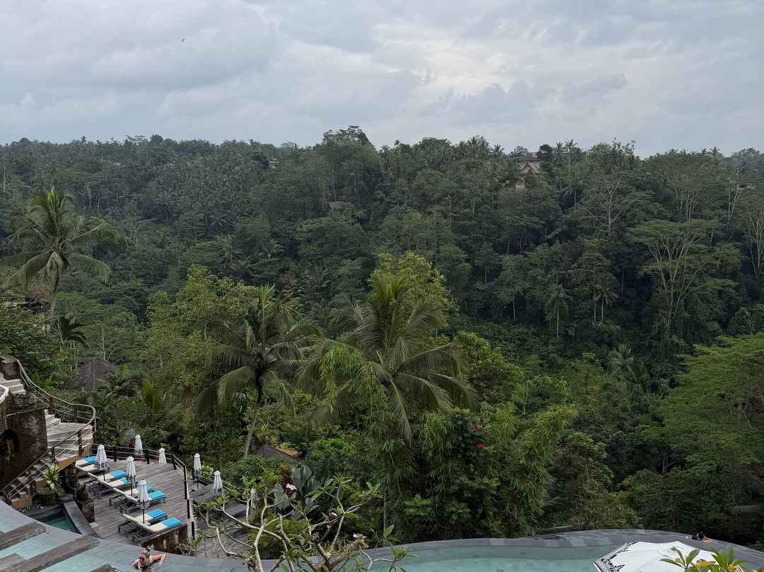 Wanna Jungle Pool and Bar-佩艳艮必去景点