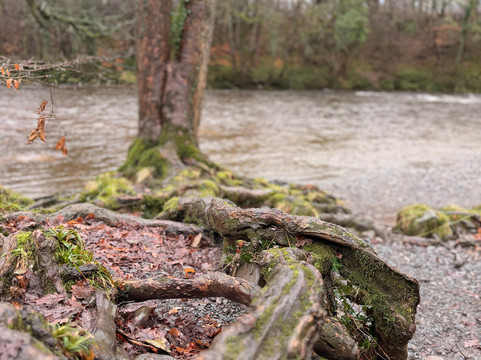 柏拉图酒店主图