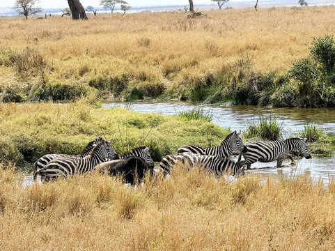 Ascend Tanzania-莫西必去景点