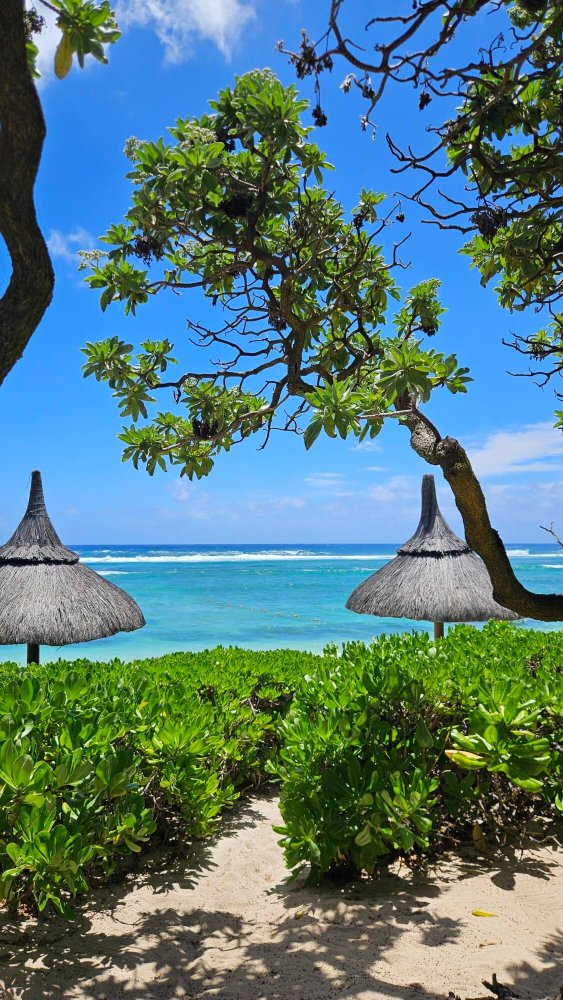 Radisson Blu Poste Lafayette Resort & Spa, Mauritius-泳池