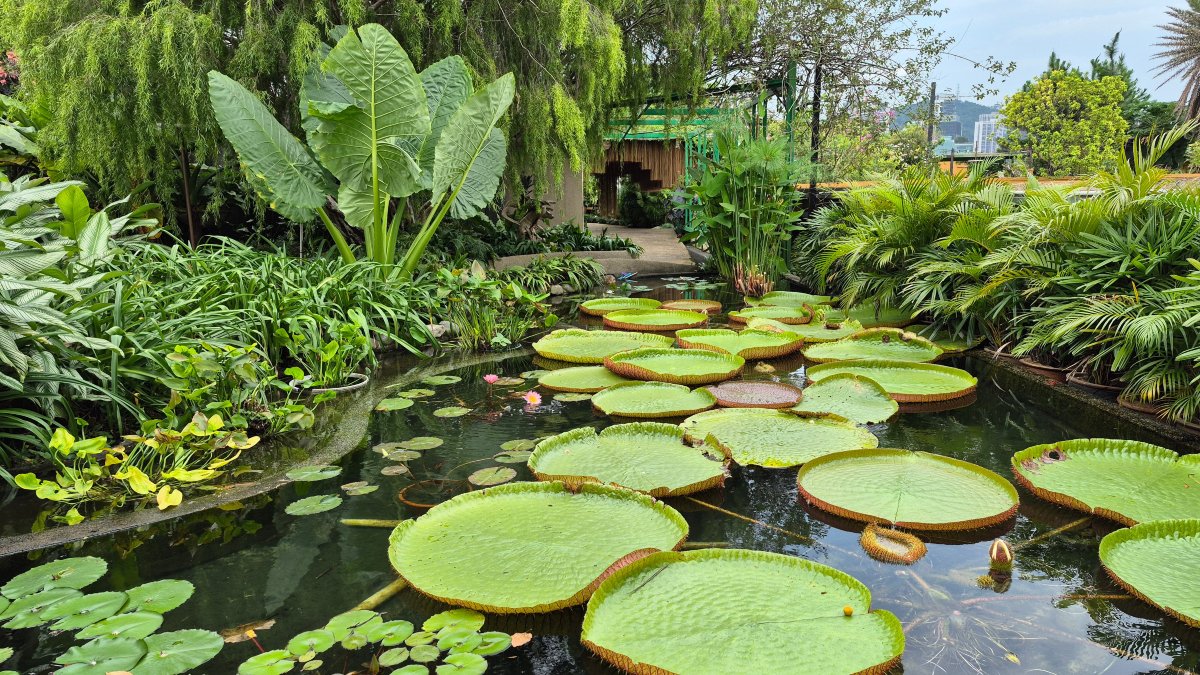 吉隆坡万达酒店 (原名为世界酒店)-浴室