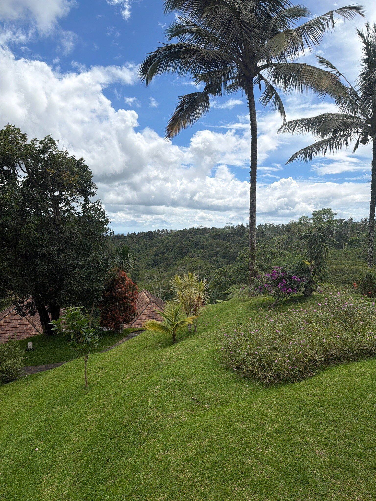 巴古斯嘉提健康幸福别墅-官方